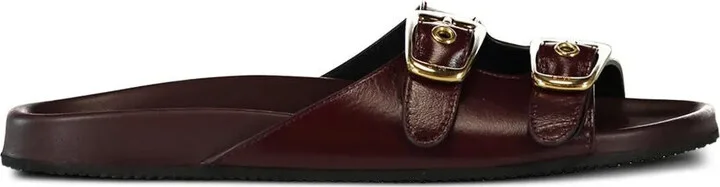 Polly slides