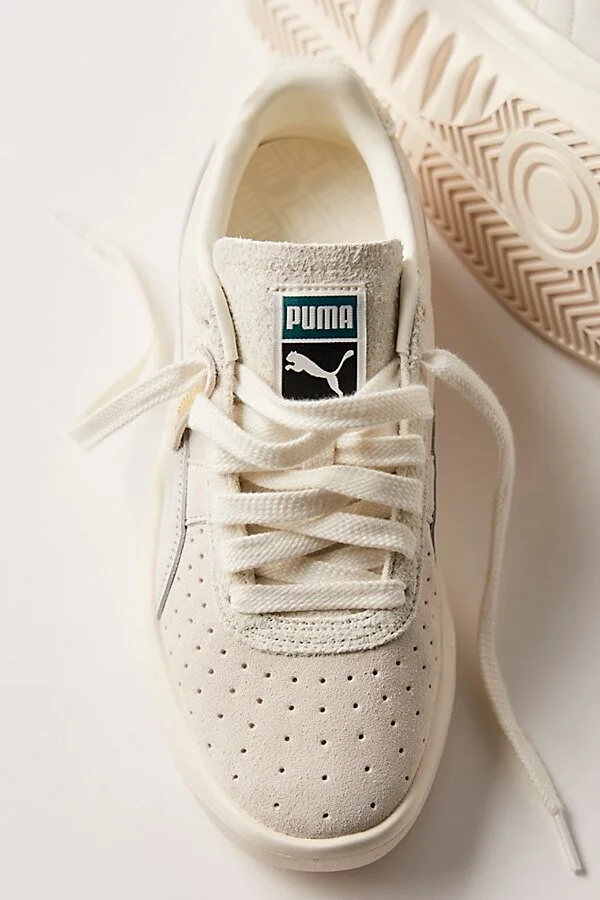 Warm White/vapor Gray