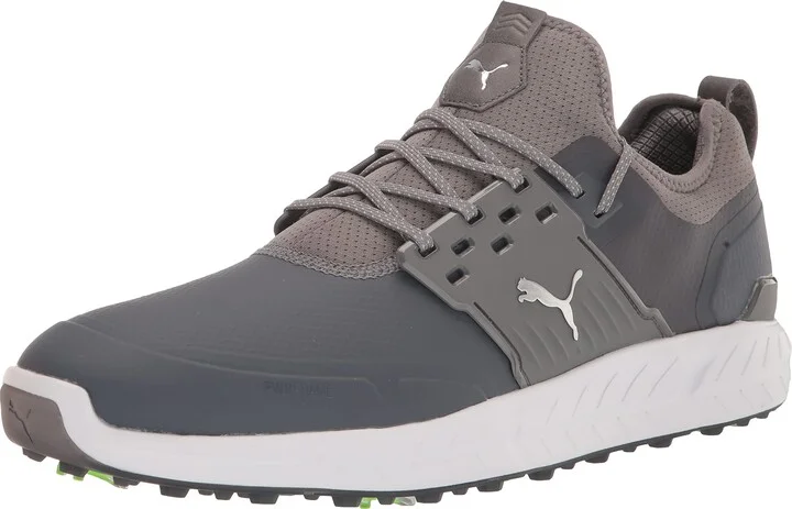 Quiet Shade-puma Silver-quiet Shade