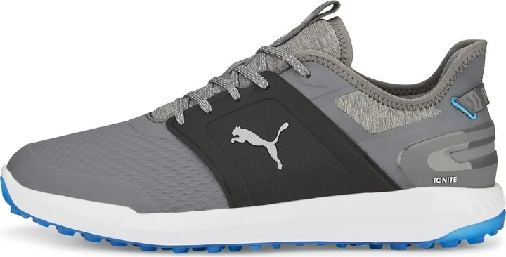 Quiet Shade-puma Silver