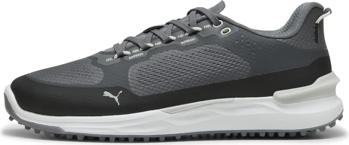 Slate Sky-puma Black-ash Gray