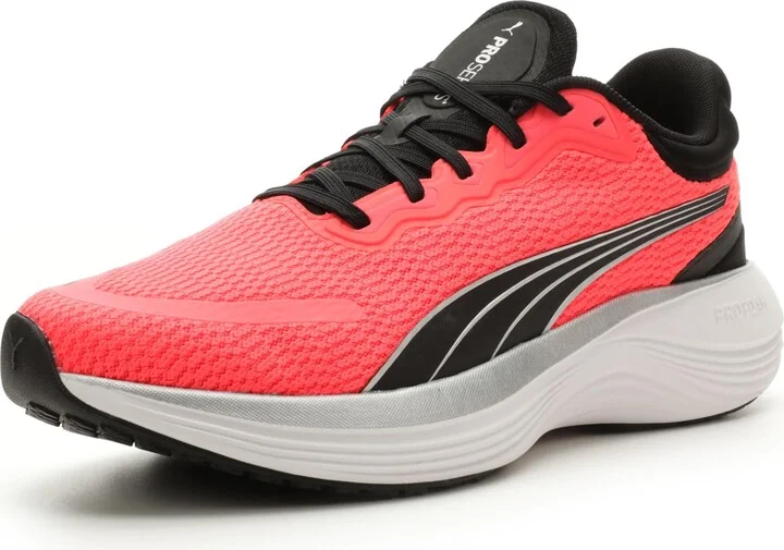 Fire Orchid-puma Black-puma White