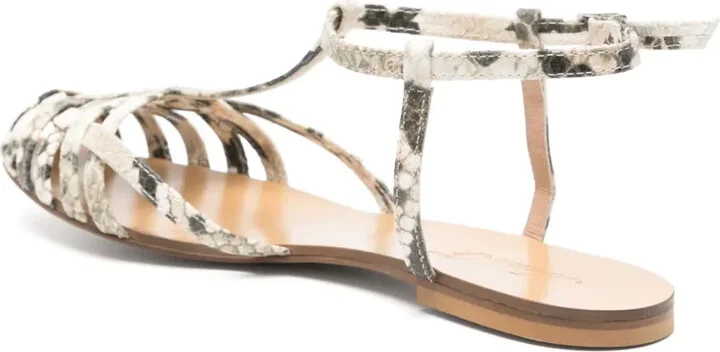 Python-Print Flats - Image 3