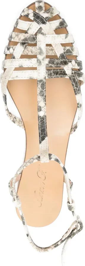 Python-Print Flats - Image 4