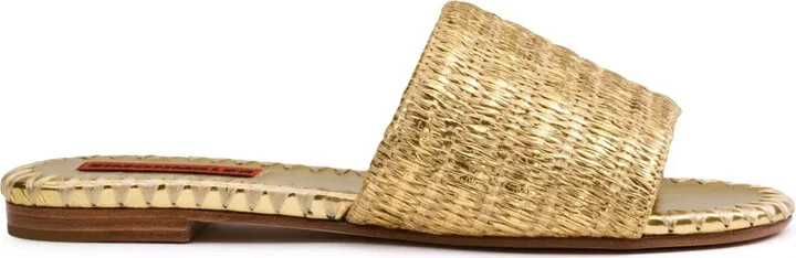 Raffia Salerno slides