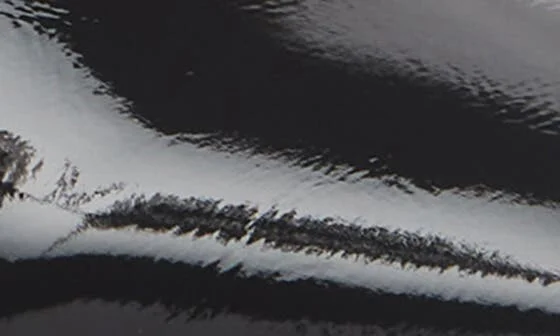 Raven Mule - Image 7