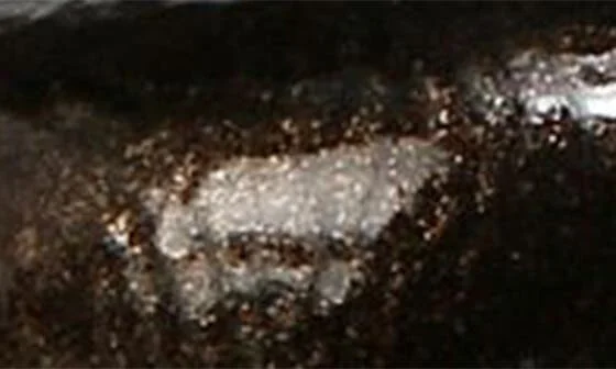 Raya Platform Mary Jane - Image 8