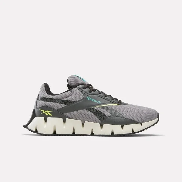 Reebok Zig Dynamica STR Unisex Shoes