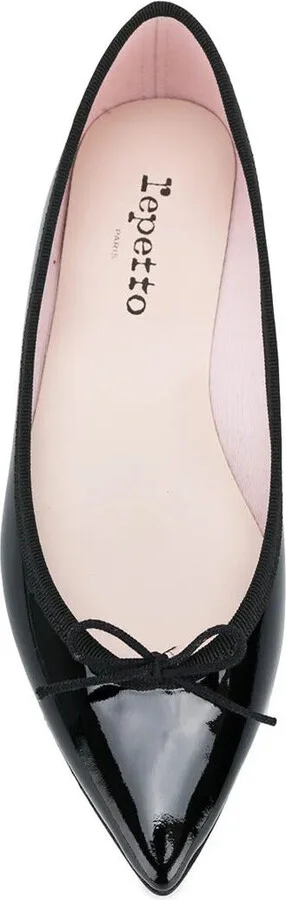 Repetto Brigitte Pointy Toe Ballet Flats Shoes - Image 4