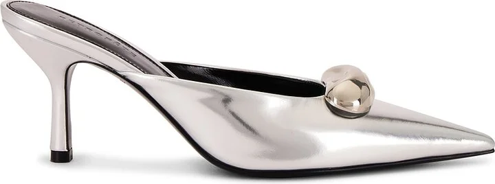 Shiny Silver