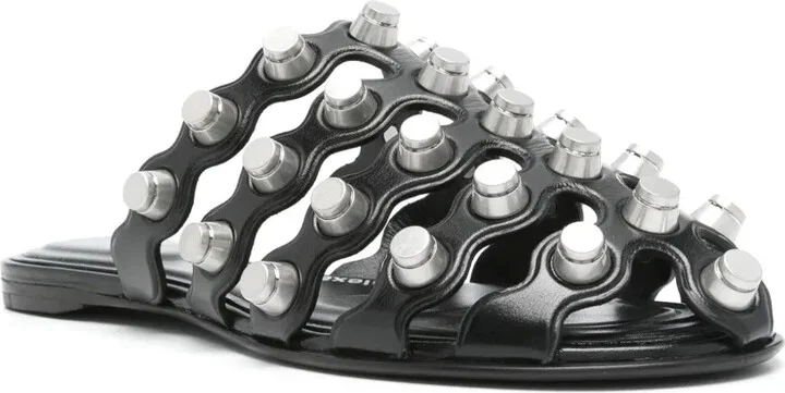 Rexa Cage slides - Image 2