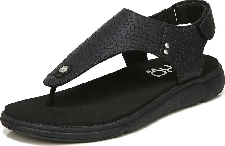 Black Snake