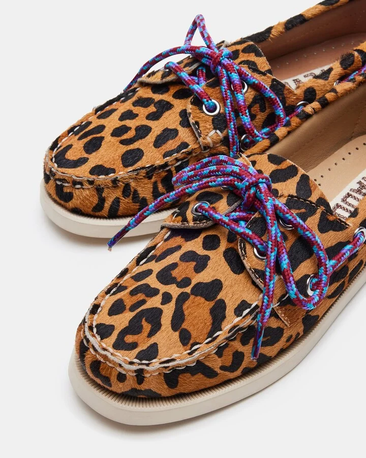 Sail Leopard - Image 3
