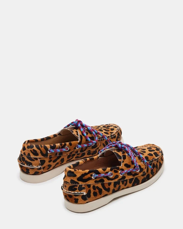 Sail Leopard - Image 5