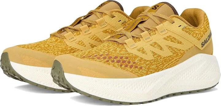 Salomon Aero Glide 3 Grvl Men's Running Shoes Spicy Mustard/Vanilla Ice/Deep Lichen Green : 8.5 D - Medium, Synthetic