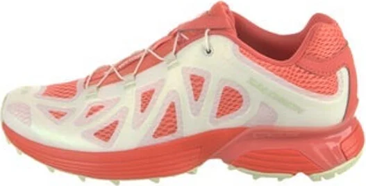 Salomon