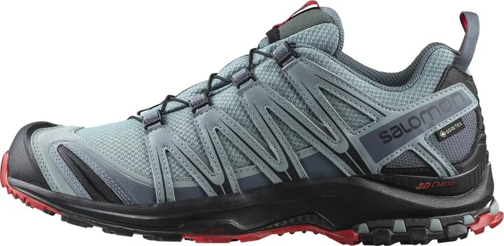 Salomon Men’s XA PRO 3D Gore-Tex Waterproof Trail Running Shoes - Lead/Black/Barbados Cherry - 9.5