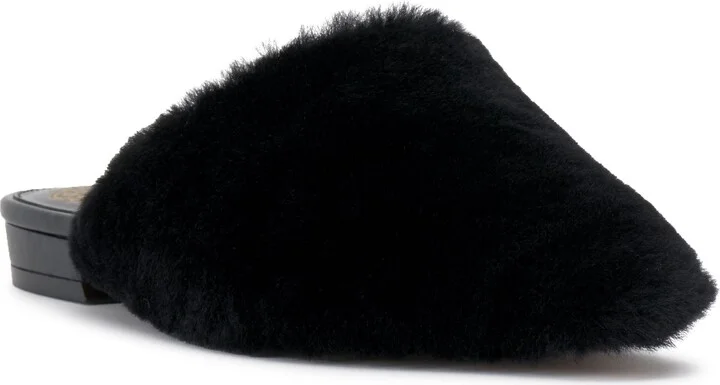 Samara Mule - Image 2