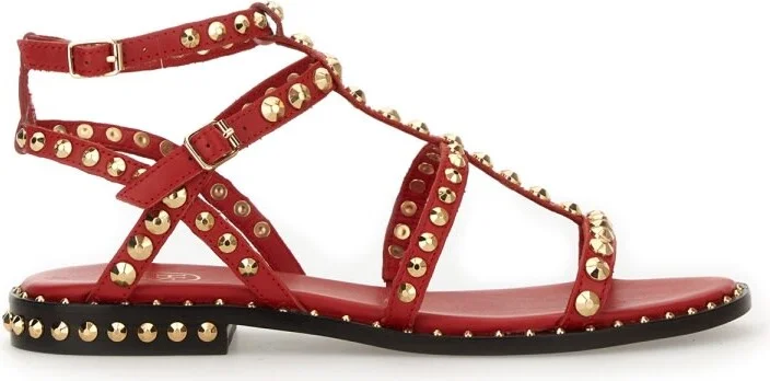 Sandal precious