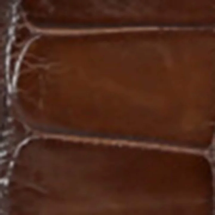Santoni Crocodile Leather Gloria Sneakers - Image 5