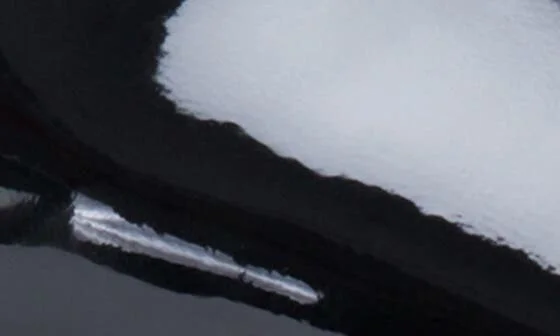 Savita Pump - Image 6