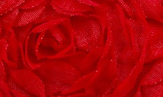Scarlet Mesh Flower Sandal - Image 8