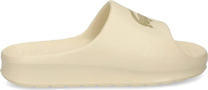 Serve 2.0 slides