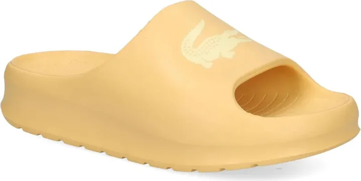 Serve logo-strap slides - Image 2