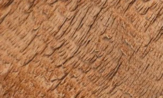 Setia Clog - Image 5