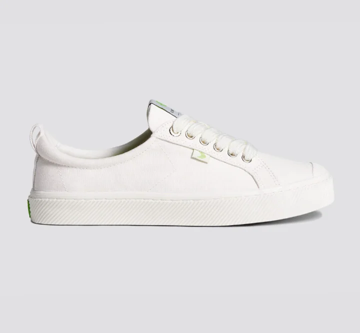 Shoe Lace Wide Off White with H Silver Tip - Image 3