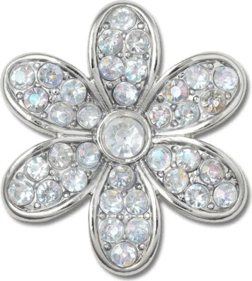Silver Monochrome Daisy