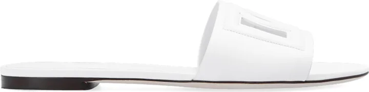 Slides With Logo, , - White