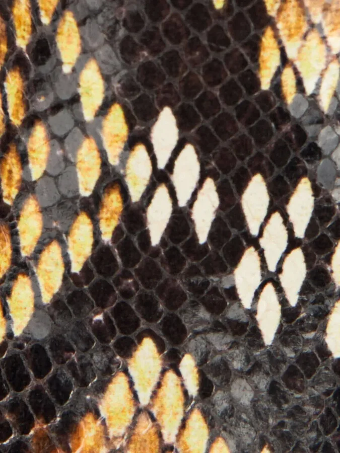 Snakeskin-Effect Boots - Image 5