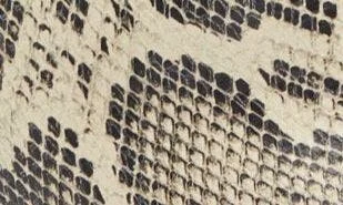 Sofie Embossed Snake Print Bootie - Image 7