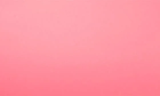 Soft Ballerina Flat - Image 5