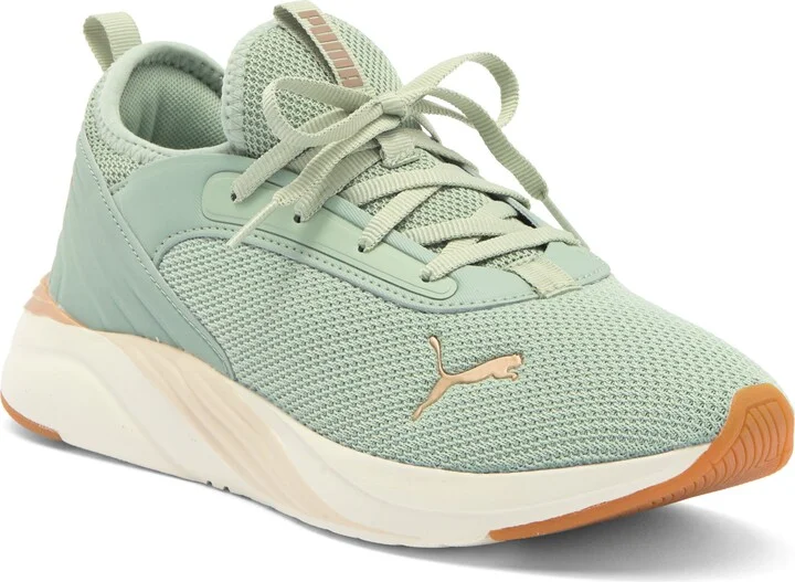 GREEN FOG-PUMA GOLD-GUM
