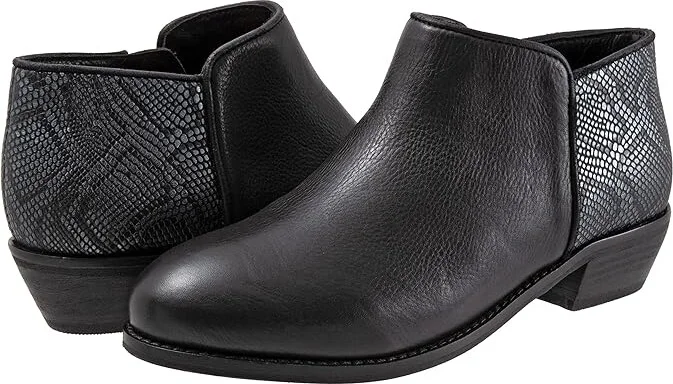 Black,snake