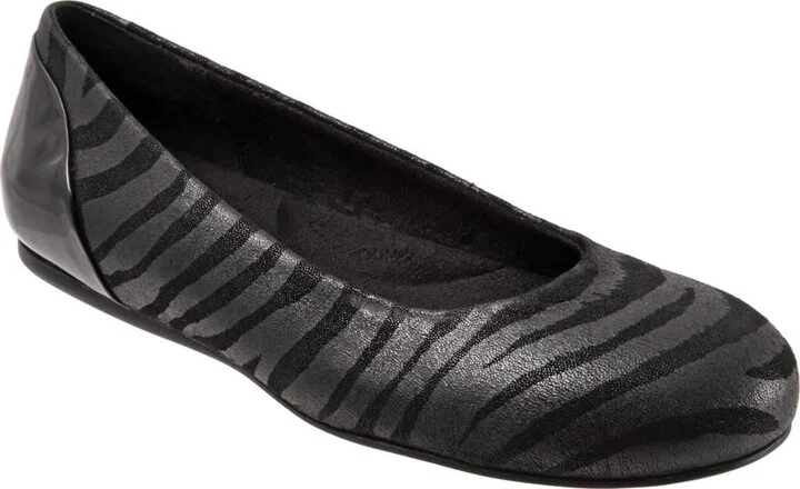 Black Zebra