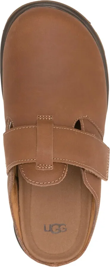 Solano mules - Image 4