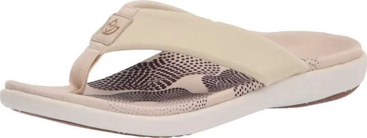 Sand Shell