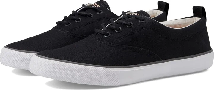 Black Canvas