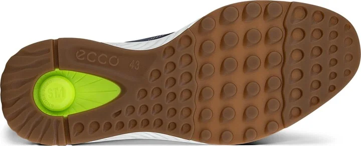 ST.1 Hybrid Derby - Image 4