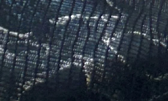 Standford Clog - Image 7