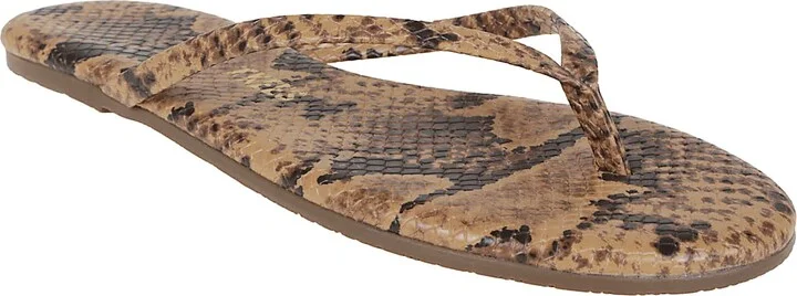 Studio Exotic - Image 2