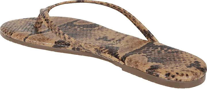 Studio Exotic - Image 3