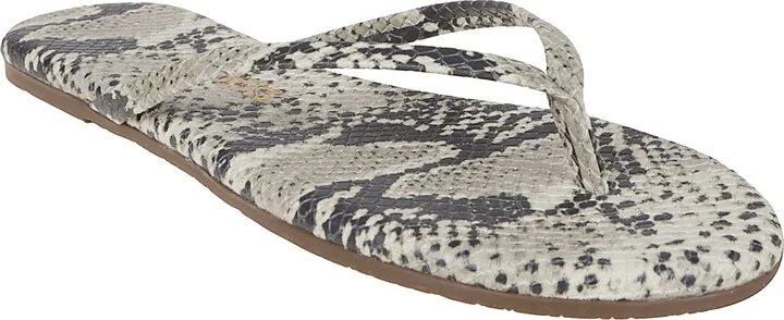 Studio Exotic - Image 2