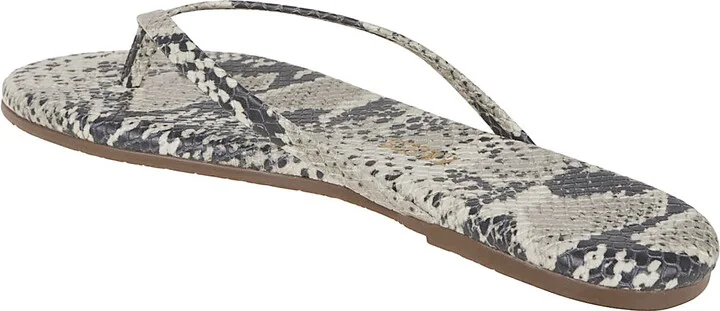 Studio Exotic - Image 3