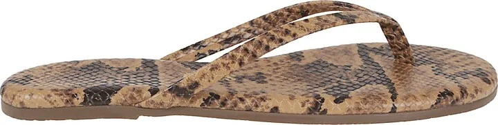 Studio Exotic Coco Snake