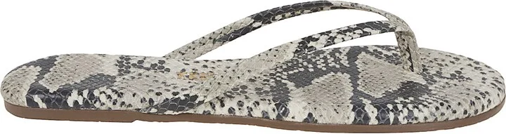 Studio Exotic Sand Snake
