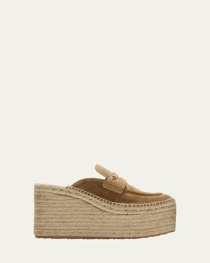 Camel Natural